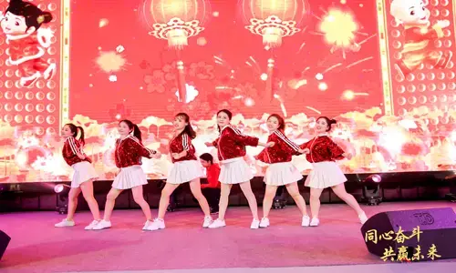 Work Together for a Win-win Future – Snapshots of Ledman New Year Party 2020