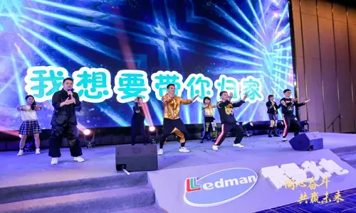 Work Together for a Win-win Future – Snapshots of Ledman New Year Party 2020