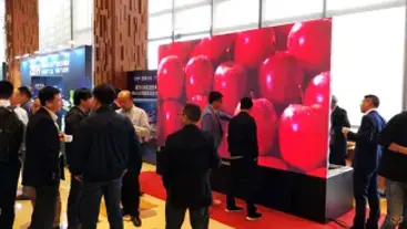 Ledman Attended the 2019 Micro-LED Industry Technology Summit and Delivered Speech