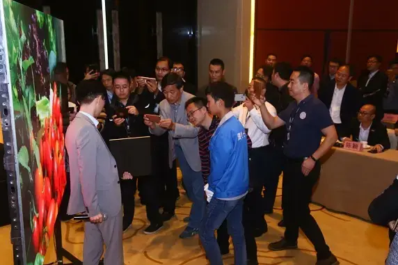 Co-work & win-win/Witness Ledman COB Brand Partner Conference