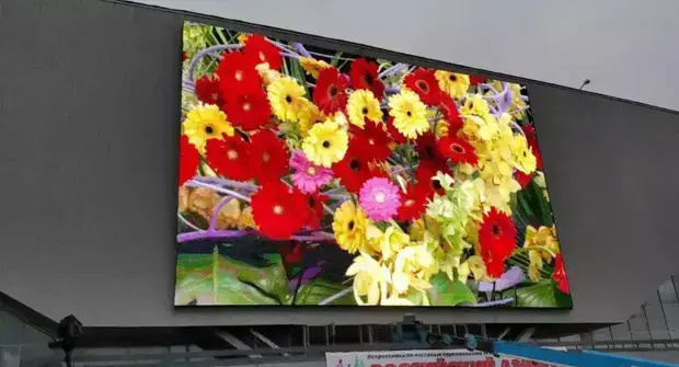 2018 Russia World Cup丨Ledman LED display boosts the top eight