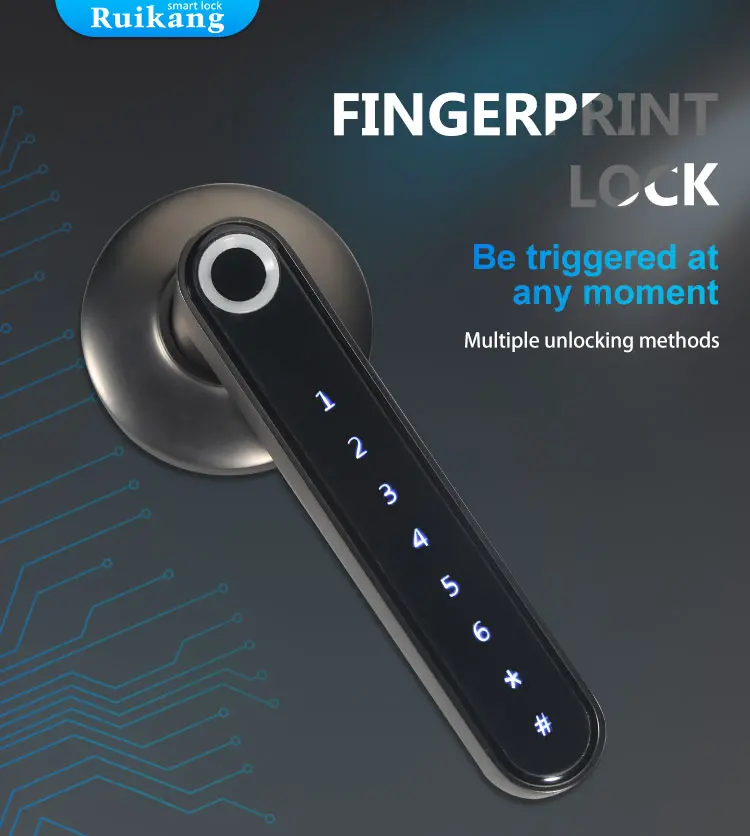 smart door lock 1