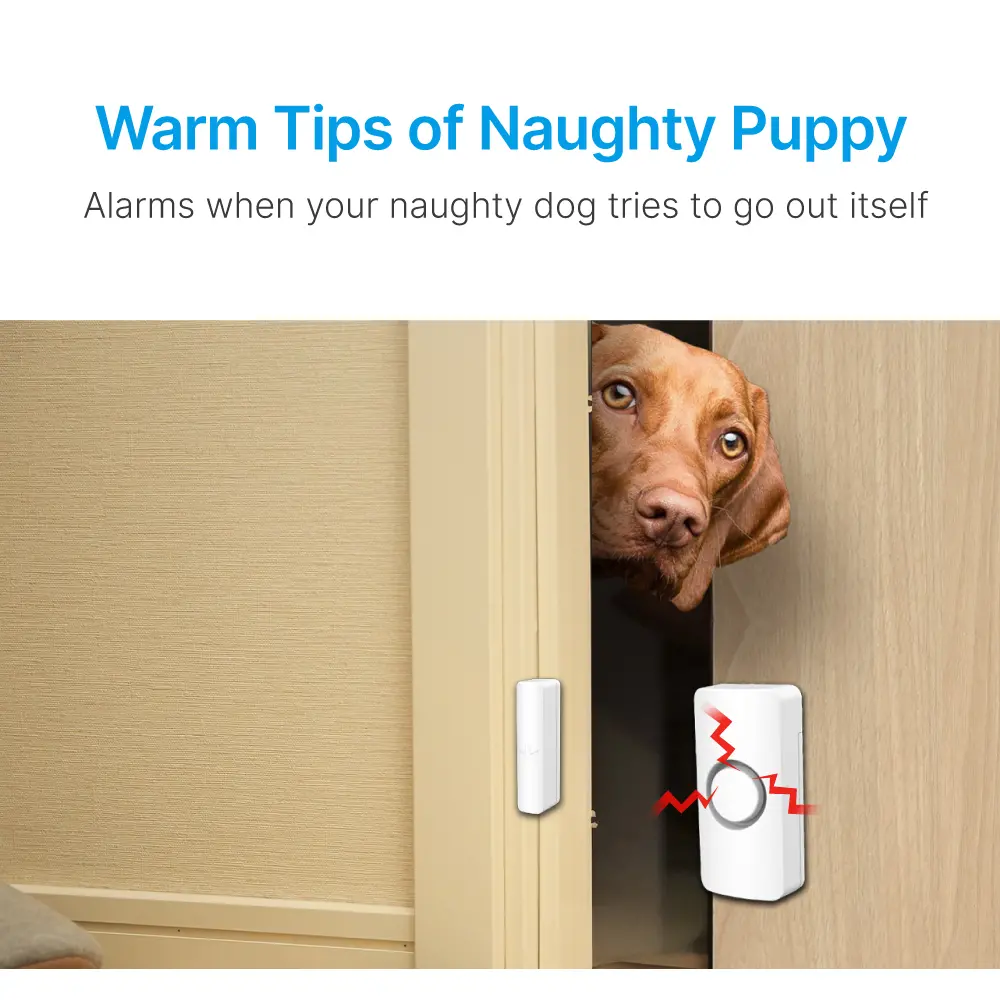 Window & Door Magnetic Alarm #RL-9805L - You can choose Chime or Alarm for the indicator sound.- High alarm volume.- Low power consumption instandby state._05