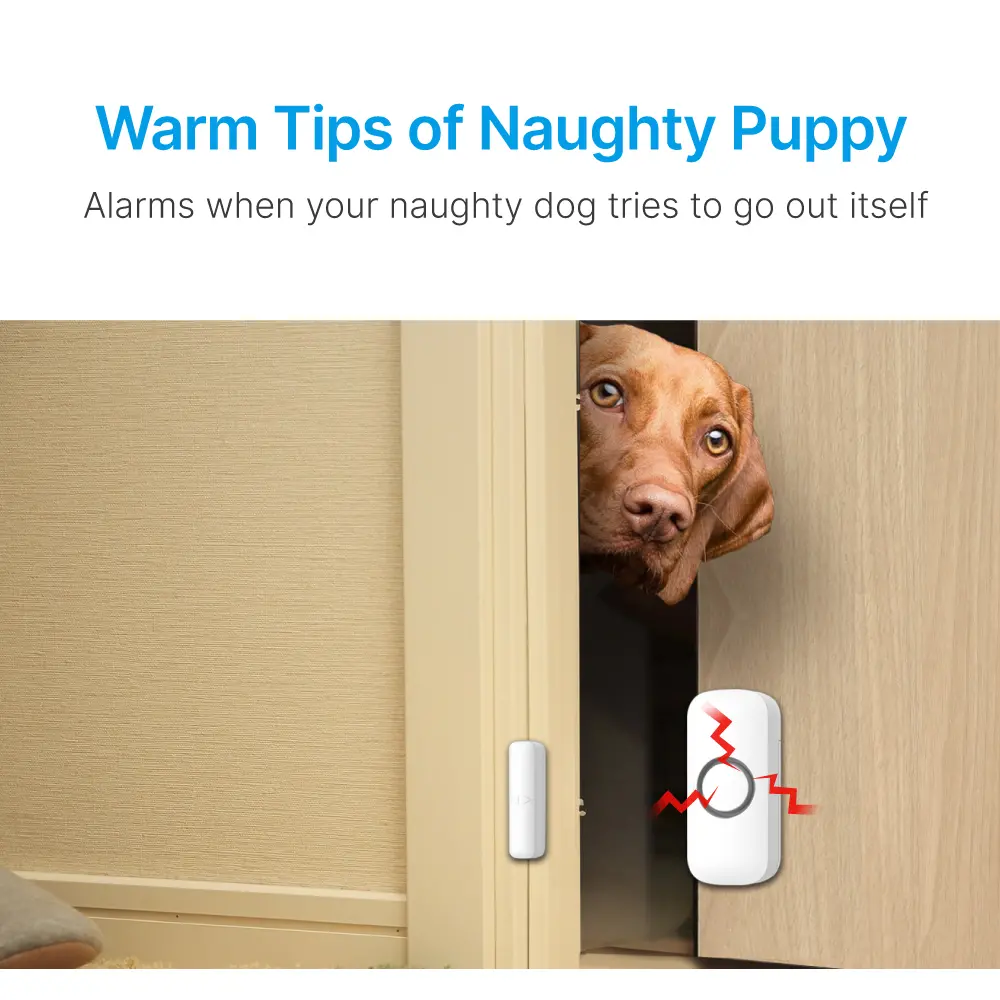 Window & Door Magnetic Alarm #RL-9805M - You can choose Chime or Alarm for the indicator sound.- High alarm volume.- Low power consumption instandby state._05