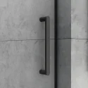 TAMPA Shower Door